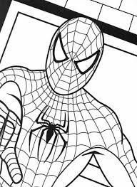 Spider Man Coloring Page Hombre Arana Para Pintar Spiderman Dibujo Para Colorear Spiderman Dibujo