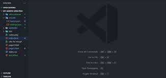 Image result for Visual Studio Code