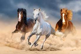 Horses As A Lucky Symbol How To Display Horses For Luck Year Of The Horse In Chinese Astrolgy Horses In Mythology Horses Horse Wallpaper Horse Oil Painting