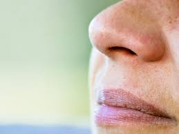 We did not find results for: Ce Sunt Acarienii Creaturile Microscopice De Pe Pielea Noastra