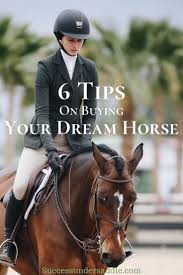 Horses from all over the world dreams can come true youtube.com/c/dreamhorses. Beginners Guide On Buying Your First Dream Horse Success Under Saddle