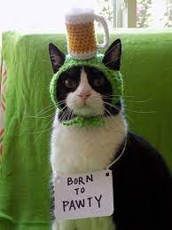 Beer Hat For Cat Crochet Hat For Cat Crochet Cat Hats For Cats