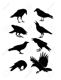 Black Crow Silhouettes Art Design Crow Silhouette Crow Painting Crow Art