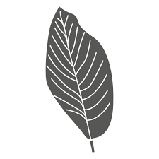 Baxa folha seca / amado batista letras de musica para. Folha Desenho Png