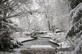 In den monaten februar und märz kann man hier auch tropische botanischer garten augsburg. Botanischer Garten Augsburg