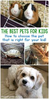 The Best Pets For Kids Choose The Best Pet For Your Child Frugal Fun For Boys And Girls Best Pets For Kids Pets Animals For Kids