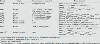 Image result for Poppy Red 1999 AAV