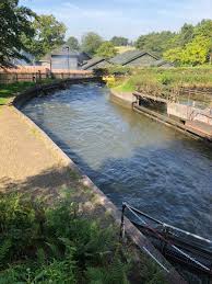 Ride the congo river rapids and try to avoid getting soaked! Towersstreet On Twitter We Ve Just Taken A Ride On The Congo River Rapids Here At Altontowers It S A Shame This Ride Is Now A Shadow Of Its Former Self With All Wave