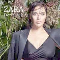 zara panosundaki pin