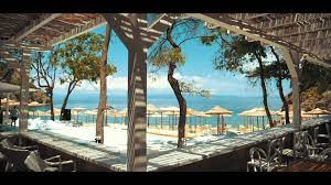 Ocean drive development llc and bp estates development inc.(atlantic drive estates) uses the st. Bahia Beach Bar Home Facebook