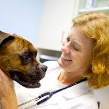 TOP 10 BEST Mobile Veterinary Services near Thomasville, NC