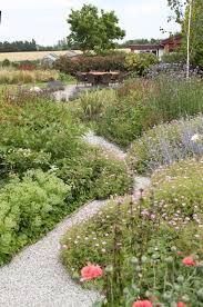 This Natural Drift Planting Is In A Rural Garden This Garden Was Constructed On An Old Industrial Site Quite A Diff Plants Garden Inspiration Garden Design