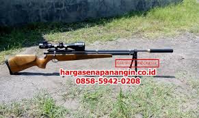 Senapan angin pcp terbaik untuk berburu hama babi, biawak, tikus dan spesialis big game review senapan angin pcp marauder predator tabung titans od 38 model senapan angin pcp call tes kekuatan power senapan angin pcp afc bandit made in gs 88 dengan mimis samyang 19 gr. Senapan Angin Pcp Archives Www Hargasenapanangin Co Id