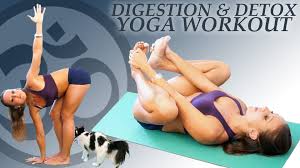 Yoga For Digestion Detox 20 Minute Beginners To Intermediate Yoga Workout Erica Vetra Digestion Detox Yoga Fitness Yoga Routine For Beginners