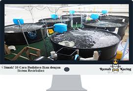 Model filter kolam ikan koi ini sama dengan model nomer 1 , tetapi posisi filter diletakkan lebih tinggi dari kolam dengan berbagai bentuk, gaya dan posisi beserta kelebihan dan kekurangannya. Simak 10 Cara Budidaya Ikan Dengan Sistem Resirkulasi