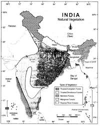 Natural Vegetation And Wild Life Class 9 Notes Geography Chapter 5 Learn Cbse Class9geographynotes Naturalvegetationandwil Geography Biomes Science Notes