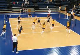 Image result for volleyball court bird's eye view