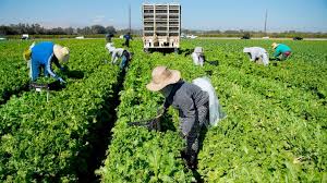 She needs her green card to get a eta. As Covid 19 Relief Vote Nears Undocumented Immigrants Struggle With No Aid Abc News