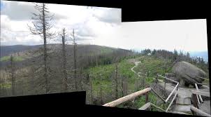 Das nahe dem berg plöckenstein gelegene dreiländereck deutschland−österreich−tschechien befindet sich rund 3 km südöstlich des dreisesselbergs der berggasthof dreisessel lädt besucher und wanderer zu pausen ein und bietet neben einer gutbürgerlichen küche auch eine große. Dreilandereck Dreilaendereck Deutschland Osterreich Oesterreich Tschechien Notizen Verschiedenes Bunt Gemischt