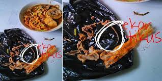 Seperti Ini Cara Mengetahui Jika Mie Ayam Kamu Berisi Daging Tikus Paling Seru