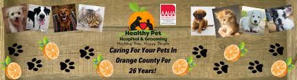 On the street of and street number is. Veterinarians Orange California Pet Hospital