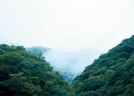 The Story of the Water | Daily Skincare for Everyone | MUJI