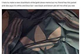 Black And Blue Vs White And Gold What Color Is This Jacket White Gold Dress Dress Debate Black And Brown