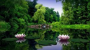 Free Download Share Nature Wallpaper Hd Wallpaper Gallery To The Pinterest Facebook 1600x900 For Your Desktop Mobile Tablet Explore 49 Hd Large Nature Wallpapers Beautiful Nature Wallpapers Nature Wallpaper Hd nature wallpapers 's best boards. nature wallpaper hd wallpaper gallery