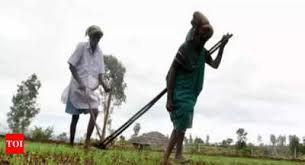 Kisan samman nidhi scheme 8th installment will be released soon. Pradhan Mantri Kisan Samman Nidhi Check Eligibility Dates And Other Details Here Times Of India