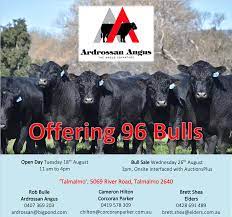 Show ebv accuracies show ebv percentiles show progeny trait counts understanding genetic test codes current tace reference tables understanding tace ebvs Ardrossan Angus 2020 Bull Sale Corcoran Parker Wodonga