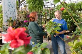 Maybe you would like to learn more about one of these? Alta Florist Greenhouse Destination Mansfield