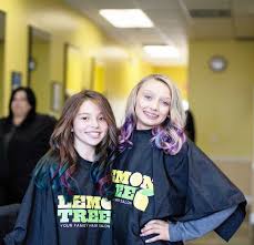 Lemon Tree Hair Salon Catskill Reviews & Testimonials