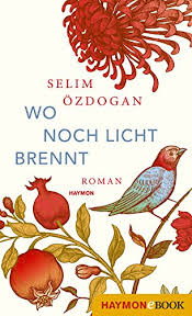 Jun 21, 2021 · der krater von derweze in der turkmenischen wüste gilt als das tor zur hölle. Wo Noch Licht Brennt Roman Ebook Ozdogan Selim Amazon De Kindle Shop