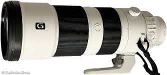 Sony 200 600mm Review