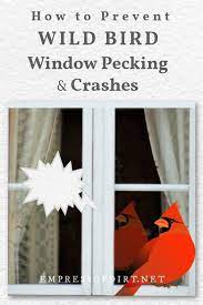According to the american bird conservancy. How To Stop Birds From Pecking Or Flying Into Windows Empress Of Dirt