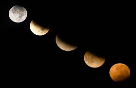 Chandra grahan today timing in india. Chandra Grahan 2020 Live Lunar Eclipse November 2020 Date And Time Timings In India What Is Lunar Eclipse And How It Occurs Chandra Grahan 2020 Date India Timings Live Updates Tomorrow