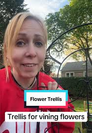 What Vines Should I Get for Diamond Trellis