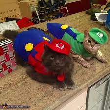 A tribe of cats called the jellicles must decide yearly which one will ascend to the heaviside layer and come back to a new jellicle life. Mario And Luigi Halloween Costume Contest At Costume Works Com Mario And Luigi Halloween Costume Cute Cat Costumes Mario And Luigi Halloween