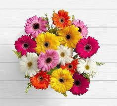 Pin On Flower
