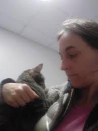 cat with infected liver and crystals in urine needs help and advice