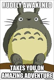 Good Guy Totoro Memes Quickmeme Japanese Cartoon Characters Japanese Cartoon Totoro