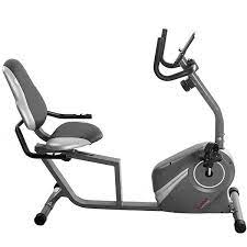 This pink recumbent bike has the visual appeal to be a permanent addition to your home. Sunny Health Fitness Sf Rb4876 Magnetic Recumbent Bike