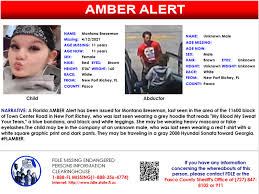 Most people have experienced the feeling of hearing an alarm sound, and looked down at their mobile device to see an amber alert. Fdle On Twitter Update Please Share A Florida Amber Alert Has Been Issued For 11 Year Old Montana Breseman The Child May Be With An Unknown Male They May Be Traveling In A Gray