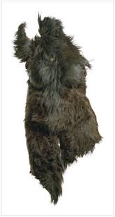 Image result for tbn:F7HKJEZ28fhrGM::www.artthrob.co.za/06jan/images/borland02a.jpg