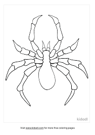 Our cool website offers one of the largest collections of free coloring pages for kids to print and to download. Black Widow Spider Coloring Pages Free Bugs Coloring Pages Kidadl