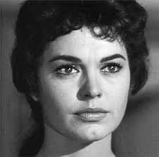 The Texan" The Terrified Town (TV Episode 1960)