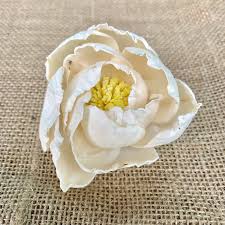 1.6k views · march 26. Sola Peony Flower 3 Pack Wholesale Luv My Flowers Wholesale