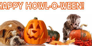 [Image: images?q=tbn:ANd9GcQMd96_86HjkLTluxfAyOy...Q&usqp=CAU]