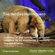 Día Mundial del Oso Hormiguero