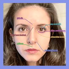 Giải phẫu so sánh (Xem trước)